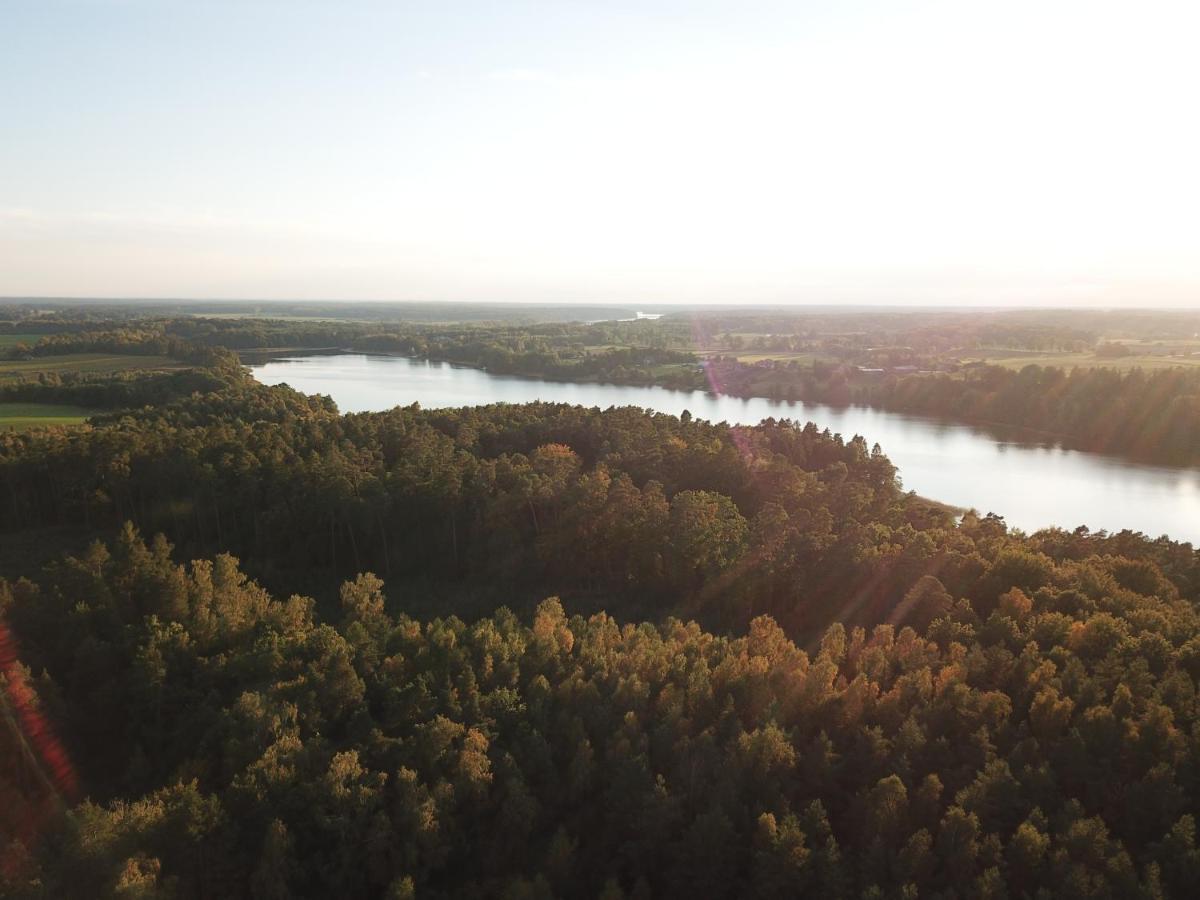 Kraina Dauby Wielowies (Warmian-Masurian)